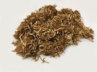 合欢花 | Albizia Flower