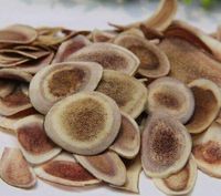 Lu Rong (Deer Antler) Medicinal Grade Chinese Herb 1 Lb. (Coarsely Ground)