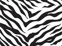 Animal Print - Zebra Stripes Gift Wrap 7-3/8"x100' Gift Wrap Jeweler's Roll (3 Rolls) - Wraps -M2127JW
