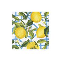 Caspari Seville Paper Cocktail Napkins in Ivory - Two Packs of 20