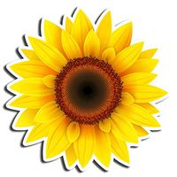 Sunflower Sticker Yellow Stickers Laptop Stickers Vinyl Stickers Waterbottle Sticker Computer Stickers