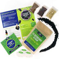 DIY Gift Kits Organic Elderberry Syrup Kit, 4 Herbal Recipe Pack Makes 25+ Servings