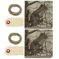 Winter Forest Tree Squirrel Kraft Gift Boxes Set of 2