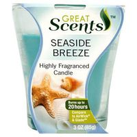 personal care Products 92910-4 3OZ Seasi Breeze Candle