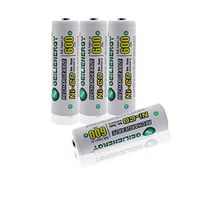 Geilienergy AA NiCd 600 mAh 1.2 V Rechargeable Batteries for Solar Light (Pack of 4)
