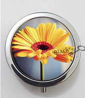 BlackKey Daisy Flower & Ladybug & Butterfly Pattern 3-Compartment Decorative Pocket Gift Box Case Organizer for Pill, Color 1 -492