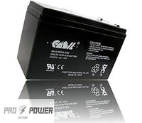 2 Pack CASIL 12V 7AH UPS Battery for APC Back-UPS BK200B ES500 ES550 LS500 RBC110 RBC2 RBC17 LS700 Best Technologies Fortress II LI 1020 ZB-12-7 GS Portalac PX12072HG RBC17 LS700 Ultra Tech UT1272