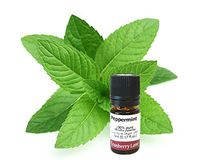Peppermint (3rd dist.) 100% Pure Essential Oil 5ml