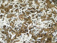 U Choose Size Kraft Brown Ivory Gift Basket Shred Crinkle Paper Filler Bedding Shanna566 (8oz Bag)