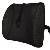 Moyishi High Resilient Memory Foam 3D Ventilative Mesh Lumbar Support Cushion/Back Cushion/Support Cushion (Black)