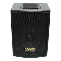 DJTECH VEGAS10 300-Watt Channel Unpowered Speaker Cabinet