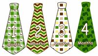 12 Monthly Baby Boy Milestone Onesie Tie Stickers ~ Diggin Dirt
