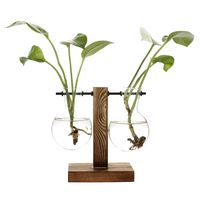 Water Planting Glass Vase,Clear Glass Vase Hanging Plant Terrarium with Retro Solid Wooden Stand for Hydroponics Plants Home Garden