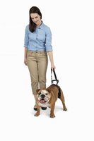 PetSafe CareLift Rear Support Harness - Lifting Aid with Handle and Shoulder Strap - Great for Pet Mobility and Older Dogs - Comfortable, Breathable Material - Easy to Adjust - Medium