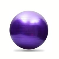 Thickening Total Body Balance Ball Kit - Includes Anti-Burst Stability Exercise Yoga Ball, Workout Program- 26 inch Purple