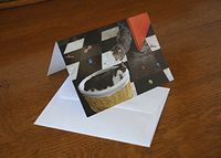 "Best Napping Place" Blank Cat Note Cards, Set of Five with Matching Envelopes, From Deborah Julian Art