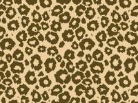 5ct. Animal Print Tissue Paper 15"x20" Sheets Gift Wrap Leopard Zebra Paw Giraffe (Choc Brown/Kraft Leopard) ngKE1952