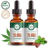 (2 Pack) Organic Hemp Oil - 20,000MG - Cinnamint Flavor, Mushroom Infused for Enhanced Bioavailability - Made in USA - Anti-Inflammatory, Hip & Joint Support, Rich in Omega 3 Fatty Acid