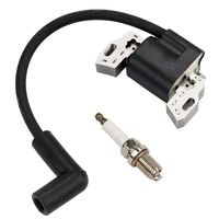 LIYYOO 593872 799582 798534 Ignition Coil + Spark Plug for Briggs & Stratton 08P502 09P602 09P702 Armature Magneto Lawn Mower Engines