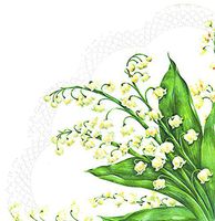 IHR 12 Luxury Paper Rondo Napkins- Festive May (White)