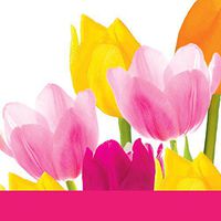 Creative Converting 18 Count Beverage Napkins, Tulip Time