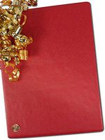 24" X 15' Really Red Pinstripe Gift Wrap