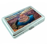 Cool Places Grand Canyon National Park Arizona S1 Silver Cigarette Case Metal Wallet Id Holder King & 100's 4" X 2.75" RFID Protection