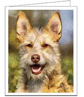 Portuguese Podengo- Set of 6 Blank Notecards By Doggylips