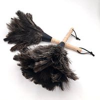 Ostrich Feather Duster for Cleaning,Wood Handle,13.4" (1)