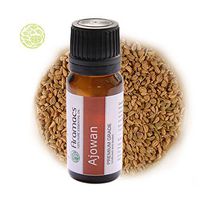 Ajowan Essential Oil - Therapeutic Grade Pure Oil 10 ML