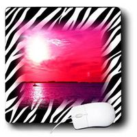 3Drose LLC 8 X 8 X 0.25 Inches Mouse Pad, Fuchsia Sunset on Zebra Pattern (Mp_109017_1)