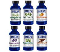 Top Essential Oil Gift Set - Best 6 Aromatherapy Oil - Eucalyptus, Lavender, Tea Tree, Peppermint, Orange, Cinnamon - Therapeutic Grade and Premium Quality - 1 oz each by Harlyn