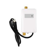 IRONWALLS 3KW 110V White Mini Instant Water Heater Electric Tankless Hot Water Heater Under Sink for Kitchen Washing Basin Bathroom