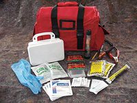 Medique Emergency Road Kit I, 50 Unit
