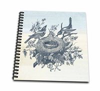 3dRose Vintage Nest of Birds Feeding Time-Memory Book, 12-inch (db_110186_2)