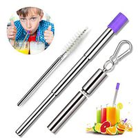 Collapsible Metal Straws Reusable Keychain Straw - Telescopic Stainless Steel Foldable Drinking Straws with Travel Cases Cleaning Brush