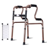 LBYMYB Elderly Walker Walking Assisted Walking Frame Disabled Pulley/Bath Plate Stainless Steel Walker Wheelchair (Size : B)