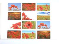 Poppy & Poppies Seal Labels Decorative Floral Stickers for Envelopes, Self-Adhesive Labels