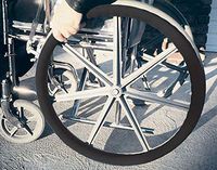 Wheel-Ease Rim Covers, Pair