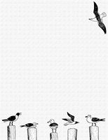 Seagull Birds Stationery Printer Paper 51 Sheets