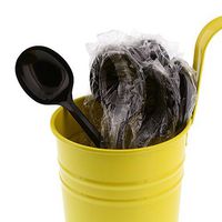 AmerCare Medium Weight Black Polypropylene Soup Spoons, Individually Wrapped, Case of 1000