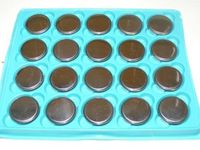 20 New Replacements for Energizer CR2450 CR 2450 3v lit.Battery by Titan USA