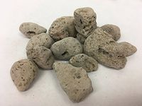 浮海石 | Pumice Stone