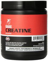 Betancourt Nutrition Micronized Creatine, 300 Grams Powder (60 Servings)