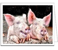 Jowly Good Time (For Pigs) - Set of 6 Blank Notecards