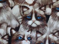 'NUGGLEBUDDY Moist Heat & Aromatherapy Organic Rice Pack for Microwave for Cat Lovers! DARLING Grumpy Feline Fabric. UNSCENTED. The PURR-FECT Gift!