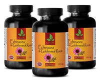Immune Support Adults - Echinacea Extract & Goldenseal Root Complex - goldenseal Extract - 3 Bottles (180 Capsules)