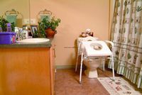 One Each Uplift Commode Assist UPLIFT TECH INC