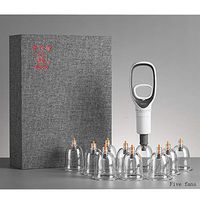 Cupping Therapy Sets,Vacuum Suction 10 Cups Sets for Cellulite Cupping Massage，Chinese Cupping Therapy Pump