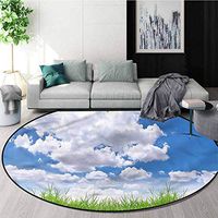 RUGSMAT Landscape Non-Slip Area Rug Pad Round,Calming Scenery Clouds Study Super Soft Carpet Diameter-51
